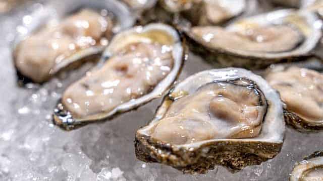Extra Hot Pot Oyster