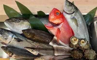 Savoring Japan’s Best through Fresh Fish and Matsutake Delights in Little Tokyo, LA